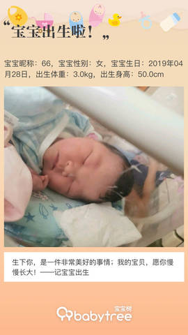 journal_insert_pic_1226403542