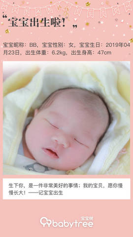 journal_insert_pic_1226358434
