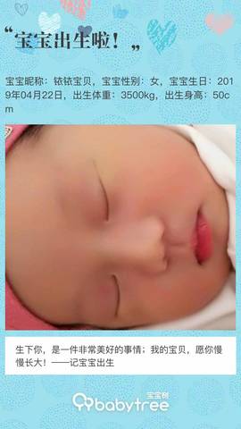 journal_insert_pic_1226834952