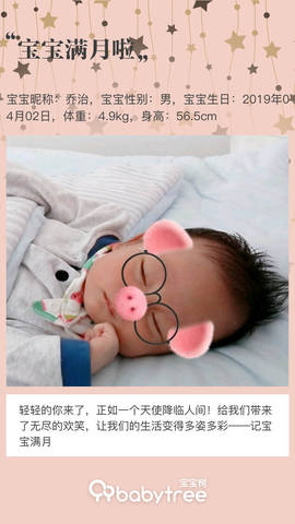 journal_insert_pic_1227334155