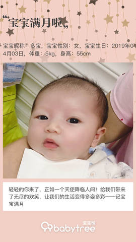 journal_insert_pic_1227651622