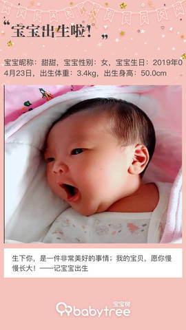 journal_insert_pic_1227402927