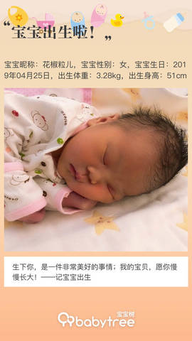 journal_insert_pic_1227454653