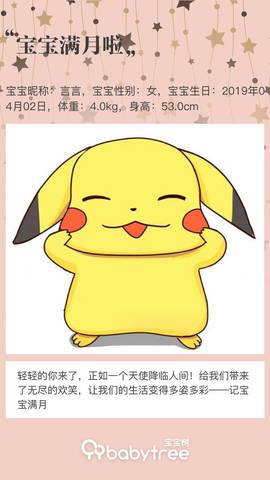 journal_insert_pic_1228296881