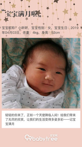 journal_insert_pic_1228329012
