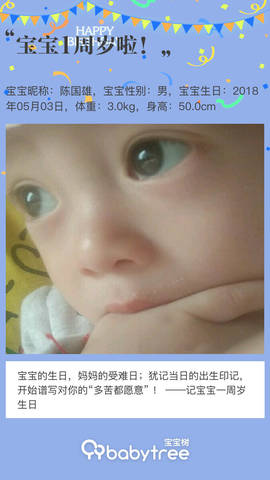 journal_insert_pic_1228205944