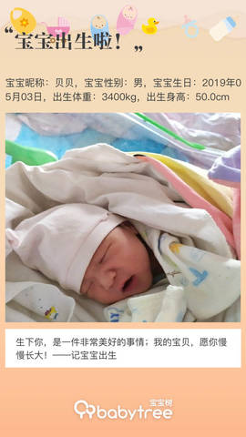 journal_insert_pic_1228986513