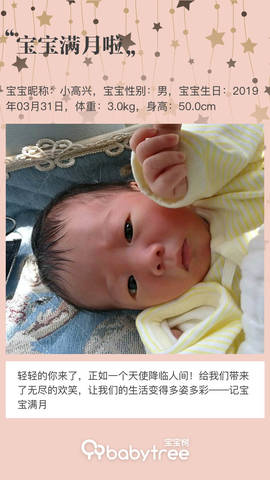 journal_insert_pic_1228693027