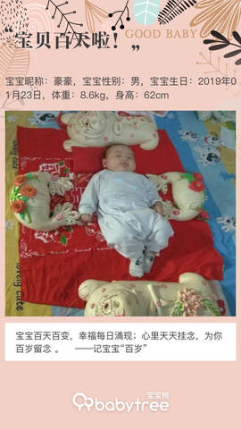 journal_insert_pic_1229675643