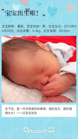 journal_insert_pic_1229595642