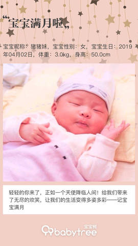 journal_insert_pic_1230394189