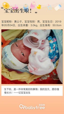 journal_insert_pic_1230331333