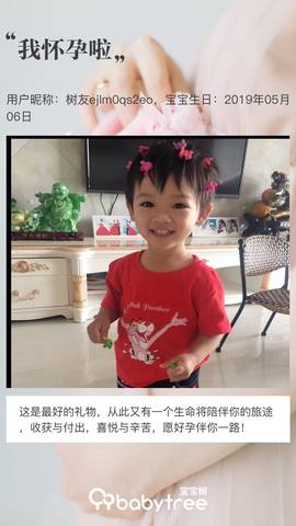 journal_insert_pic_1230762497