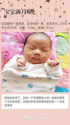 journal_insert_pic_1230486017