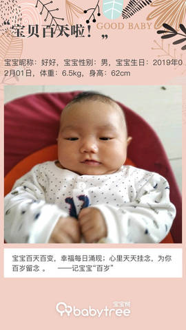 journal_insert_pic_1231106202