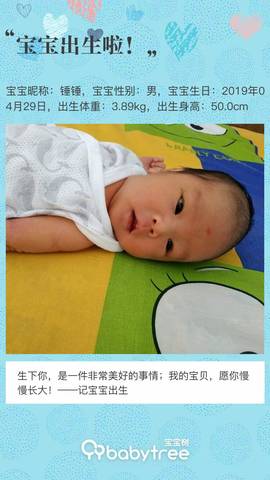 journal_insert_pic_1231002020