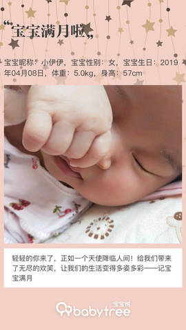journal_insert_pic_1231000829