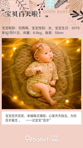 journal_insert_pic_1230986753