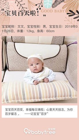 journal_insert_pic_1231276777