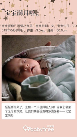 journal_insert_pic_1231172844