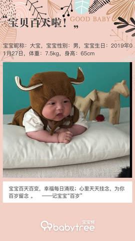 journal_insert_pic_1231159255