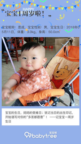 journal_insert_pic_1230921913