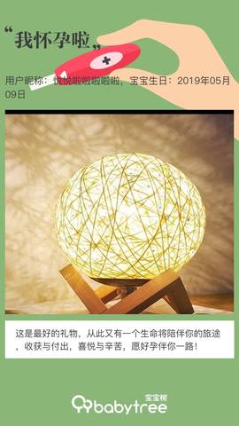 journal_insert_pic_1232448005