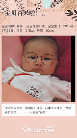 journal_insert_pic_1232226865