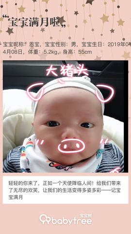 journal_insert_pic_1232643775