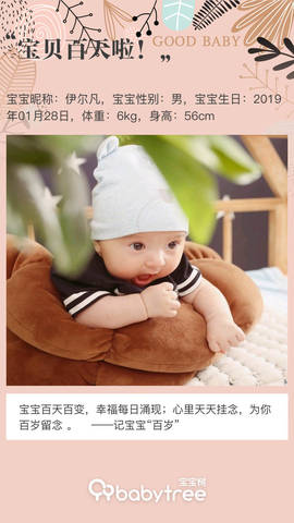 journal_insert_pic_1232226574