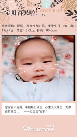 journal_insert_pic_1233233774