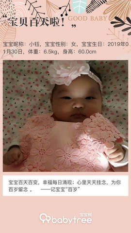 journal_insert_pic_1233773221