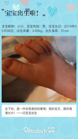 journal_insert_pic_1234022664
