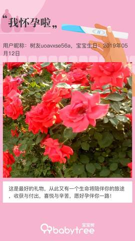 journal_insert_pic_1234037349