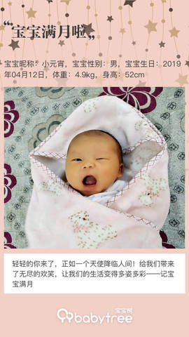 journal_insert_pic_1233988977