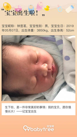 journal_insert_pic_1235645224