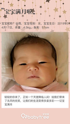 journal_insert_pic_1236125516