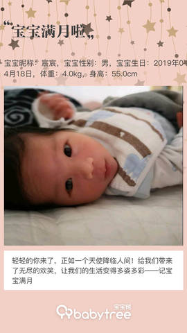 journal_insert_pic_1236217252