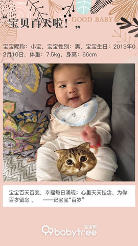 journal_insert_pic_1236080075