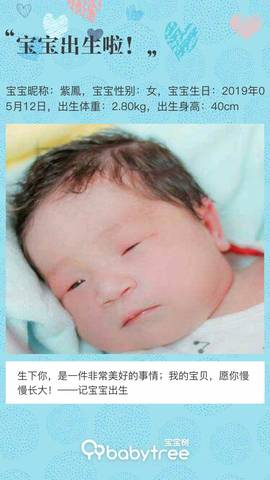 journal_insert_pic_1238217305
