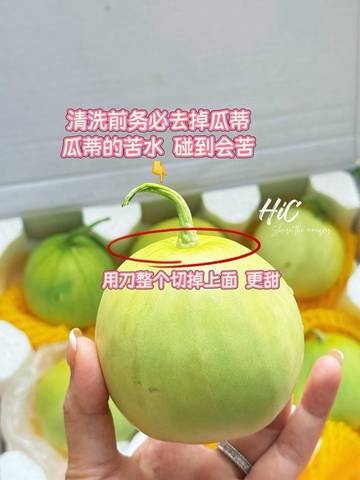 journal_insert_pic_4361980781