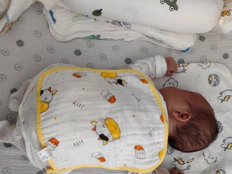 journal_insert_pic_4362201440