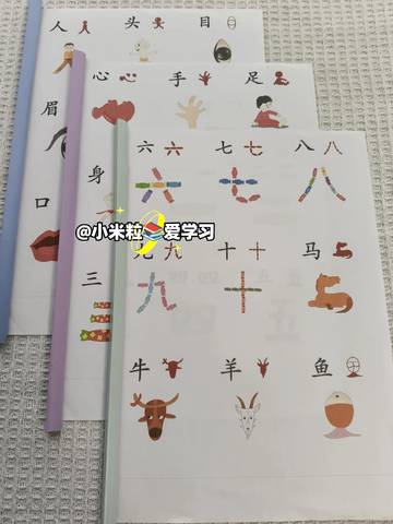 journal_insert_pic_4362463182