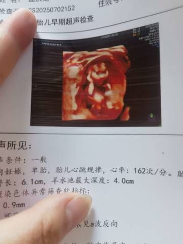 journal_insert_pic_4362843969