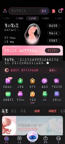 journal_insert_pic_4362913387