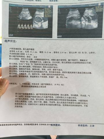 journal_insert_pic_4413447457