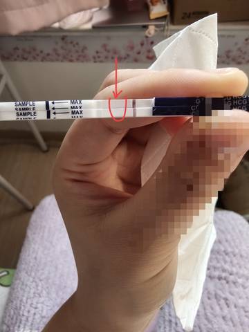 journal_insert_pic_4441038268