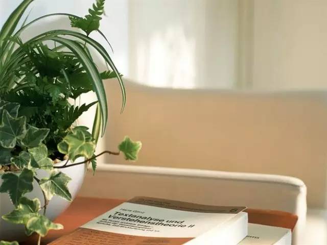 journal_insert_pic_967186839