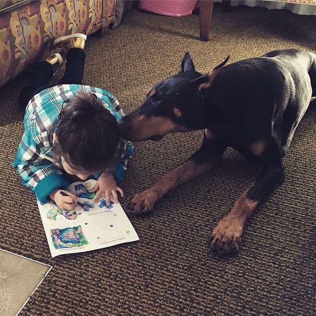 journal_insert_pic_727481568