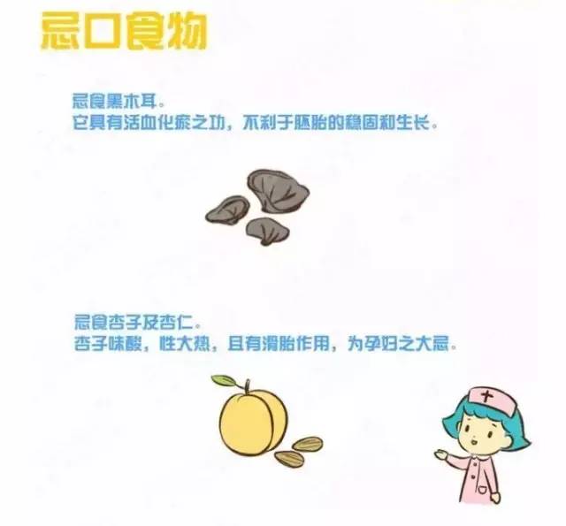 journal_insert_pic_970929070